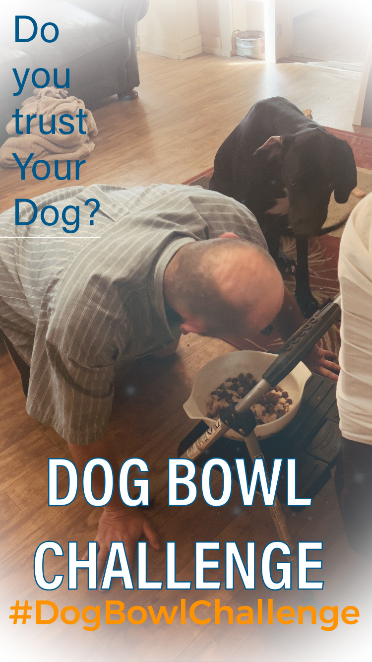 Doc and Puddin doing the Dog Bowl Challenge. #DogBowlChallenge