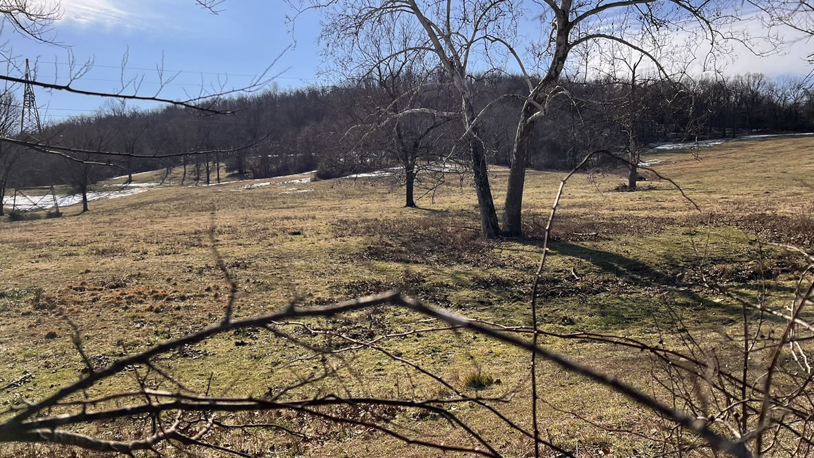 Country Side view, off Highway 130 west, in Bedford County Tennessee