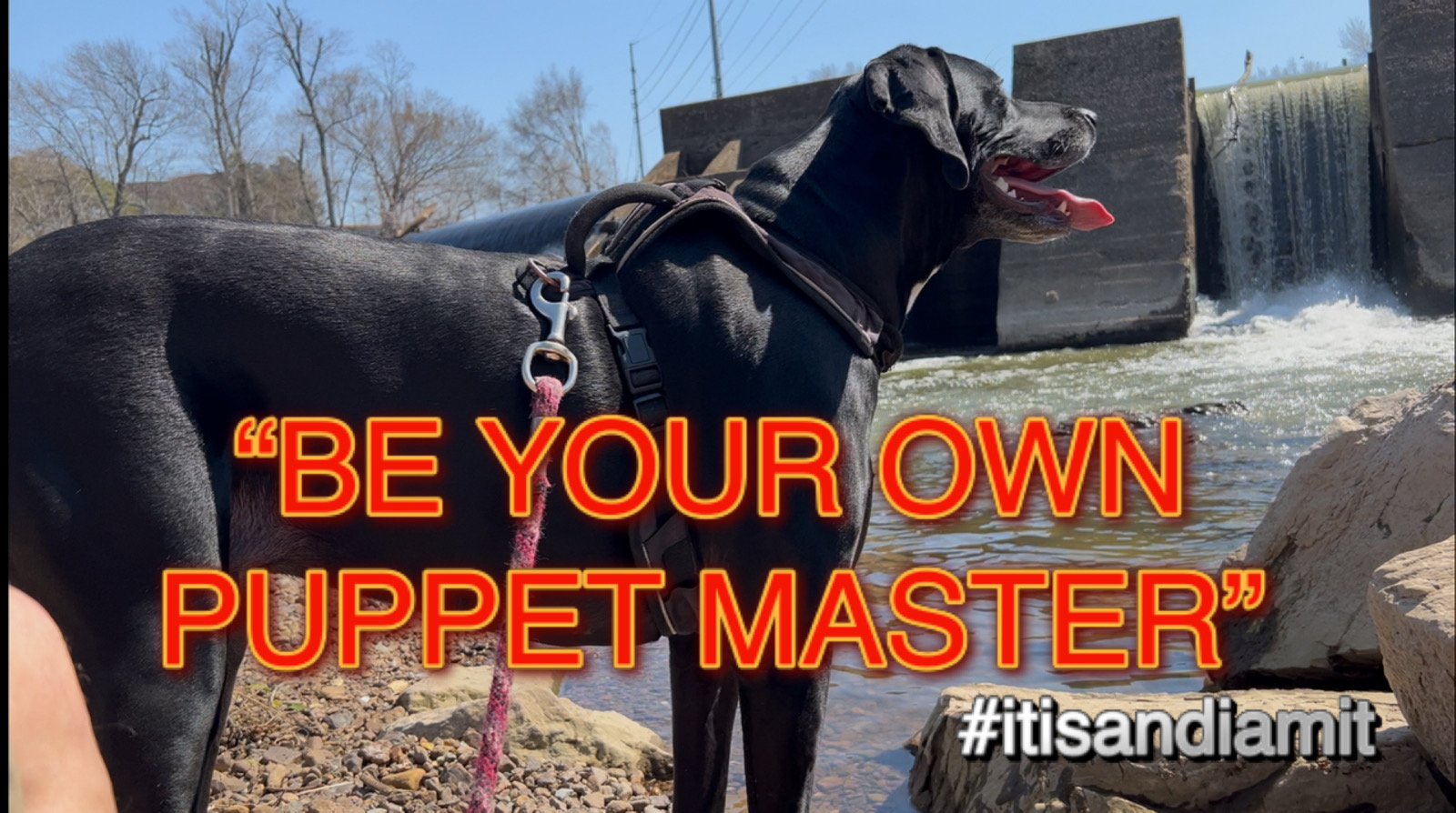 BE YOUR OWN PUPPET MASTER