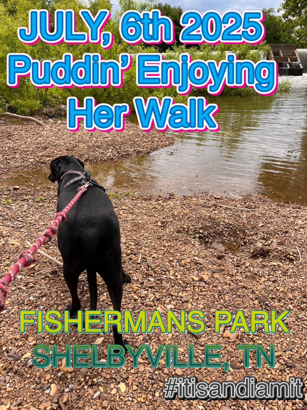 FISHERMANS PARK IN SHELBYVILLE, TN - Puddin’ loves her walks