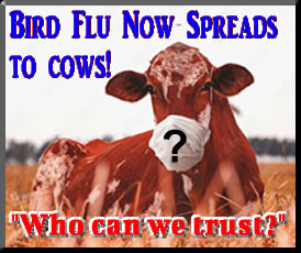 New Avian Influenza, aka Bird Flu H5N1, Spreads to Cows, Cats and Humans in Texas.