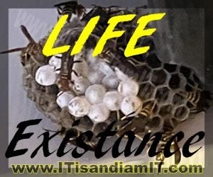 LIFE & EXISTANCE are both ONE and the SAME WHAT EVER REPRODUCES, REPRODUCES. WHAT EVER DOES NOT REPRODUCE, DOES NOT REPRODUCE